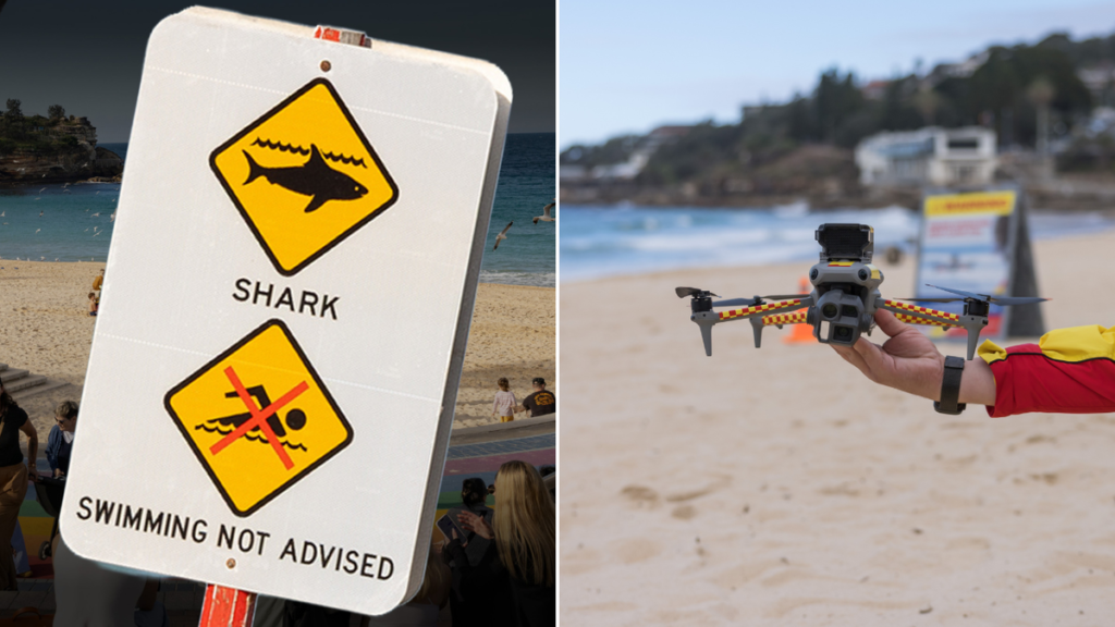 Drones están listos para monitorear las playas más populares de