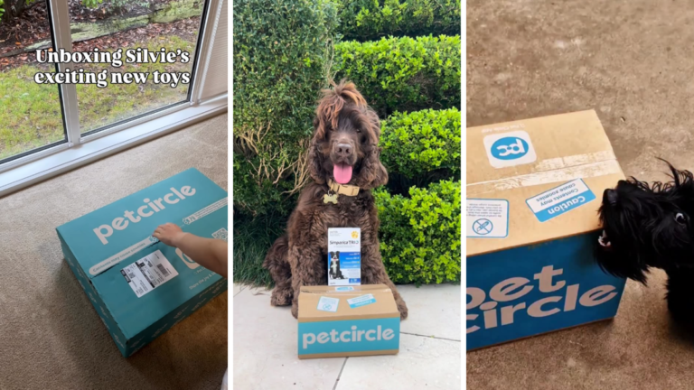 El popular Pet Circle está realizando una gran venta de