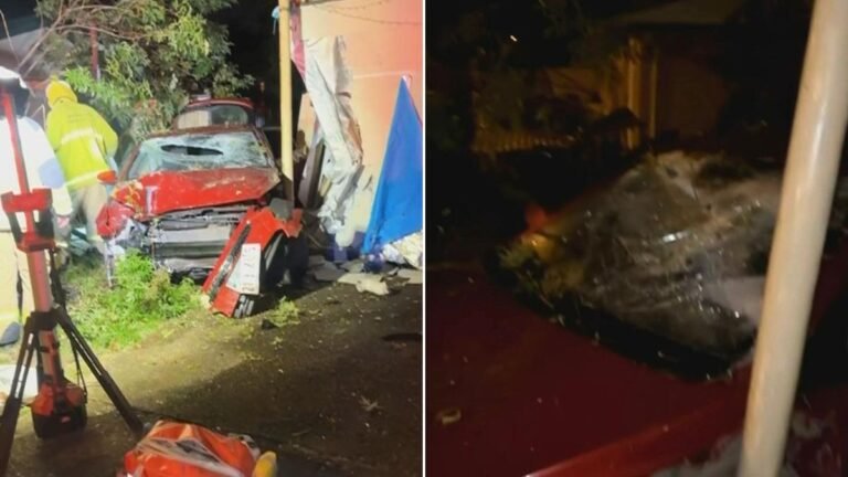 El propietario de una casa de Logan entra en pánico