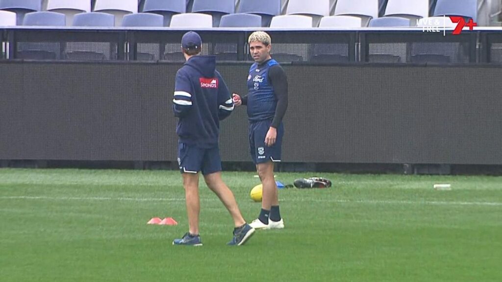 Han aumentado las preocupaciones por el delantero de Geelong, Tyson