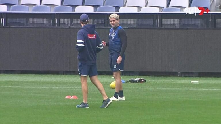 Han aumentado las preocupaciones por el delantero de Geelong, Tyson