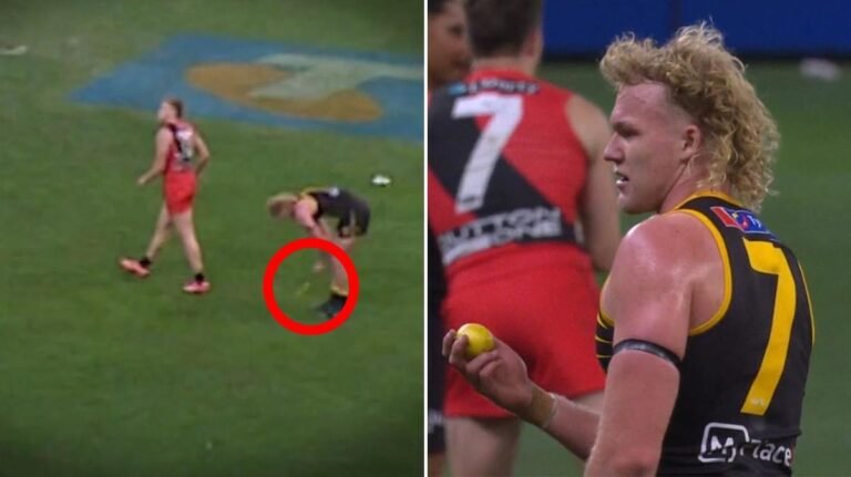 La AFL y el Optus Stadium abren una investigación sobre