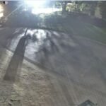 La Demonio de Tasmania Mary fue capturada por CCTV mientras