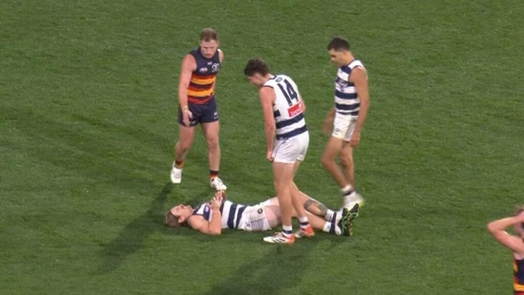 La estrella de Geelong, Tom Stewart, salió lesionado en los