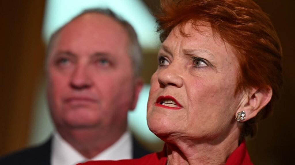 La líder Pauline Hanson sale para explicar los planes de