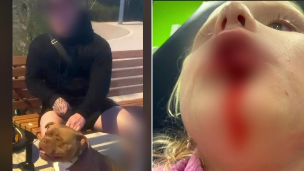 La policía busca al dueño de una niña de cuatro