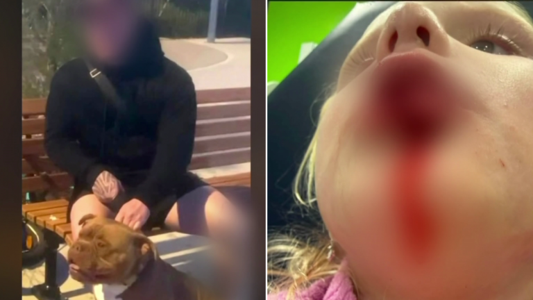 La policía busca al dueño de una niña de cuatro