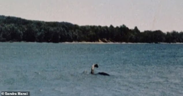 Le mystère de l'Américain Nessie s'approfondit alors qu'une étrange créature