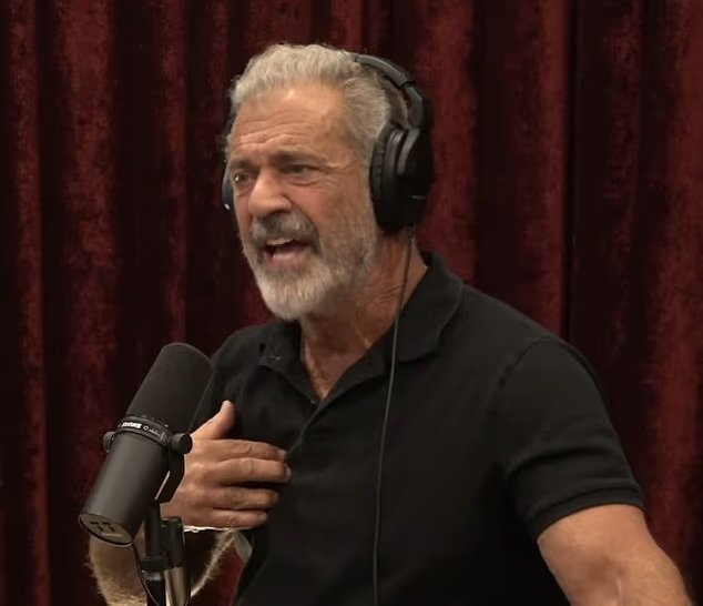 L'incroyable affirmation de Mel Gibson selon laquelle l'ivermectine freine le