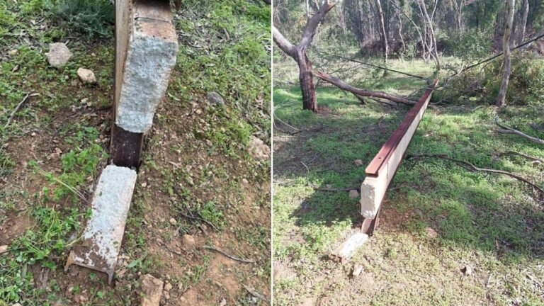 Los niños corren riesgo después de que vándalos cortaran postes