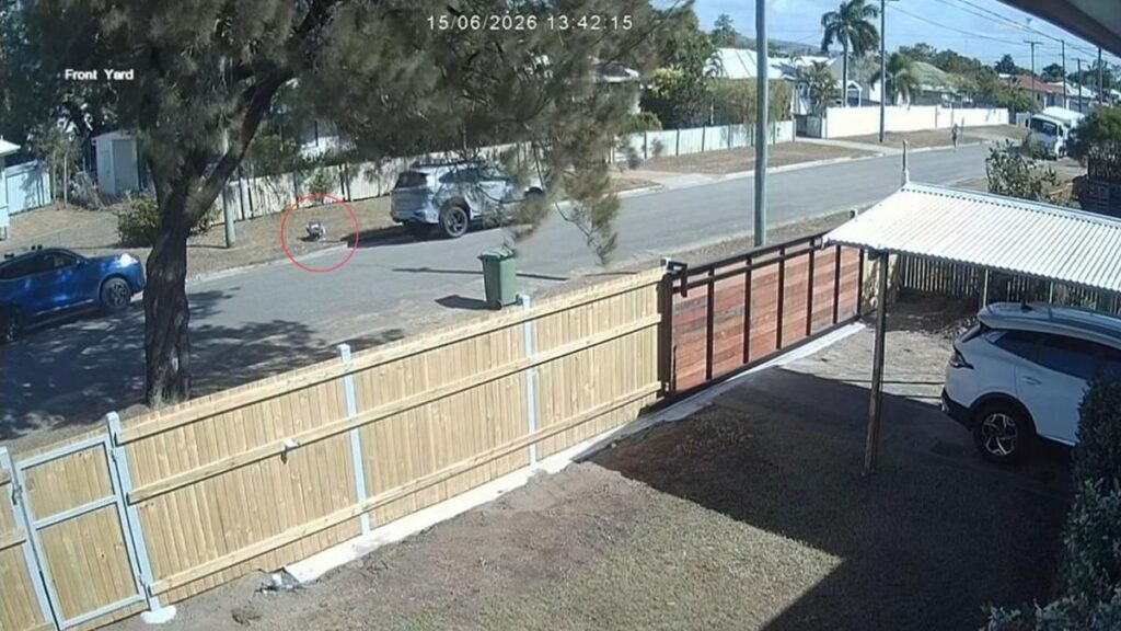 MOMENTO LOCO Presuntos ladrones de autos devuelven al bebé a