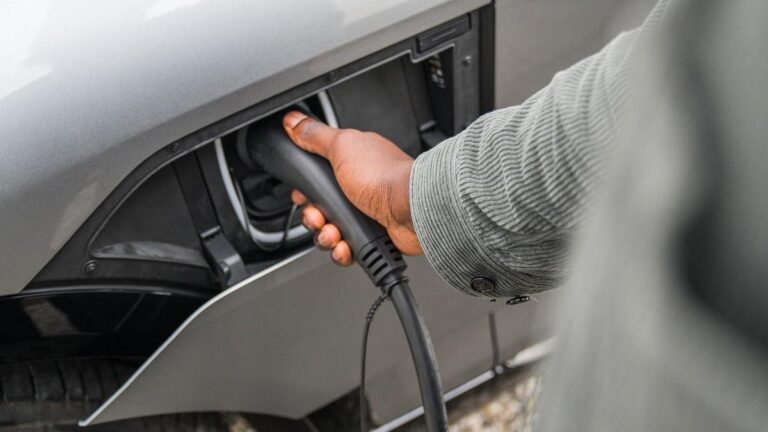 Miedo, subsidios, infraestructura: por qué la política de vehículos eléctricos