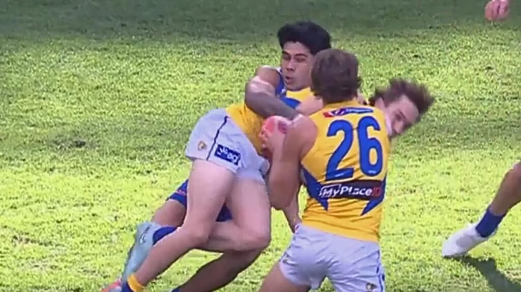North Melbourne, incluido Paul Curtis, falló en el tribunal y
