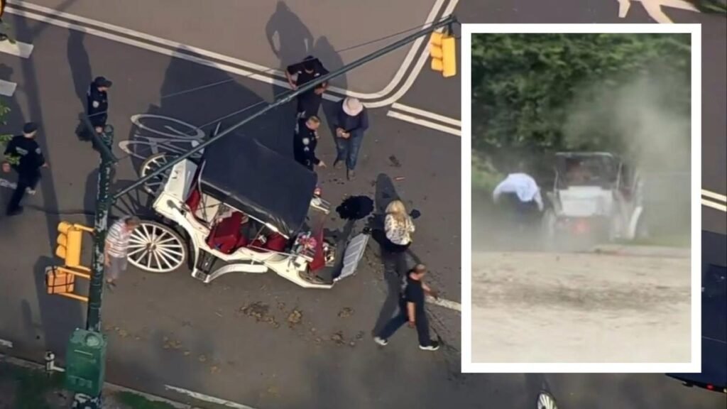 Nueva York: Adolescente muere tras ser atropellado por un carruaje