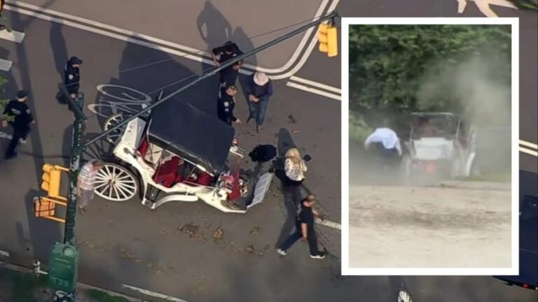 Nueva York: Adolescente muere tras ser atropellado por un carruaje