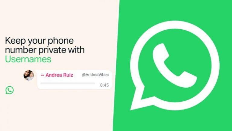 Numéro d'utilisateur WhatsApp : qu'est-ce que c'est et comment les utilisateurs