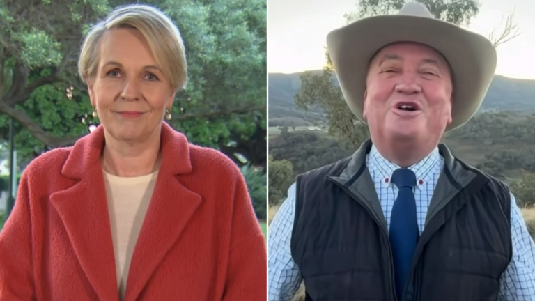 Plibersek supera la afirmación de Joyce mientras One Nation supera
