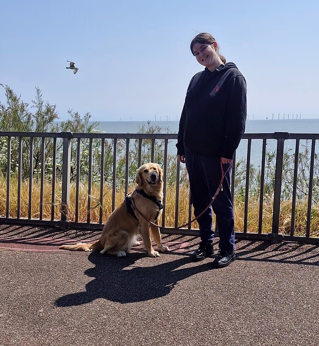 Rencontrez Nova le golden retriever - le premier chien à