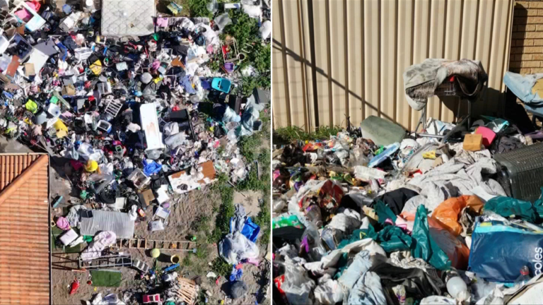 Se eliminaron los desechos del jardín en St James's mientras