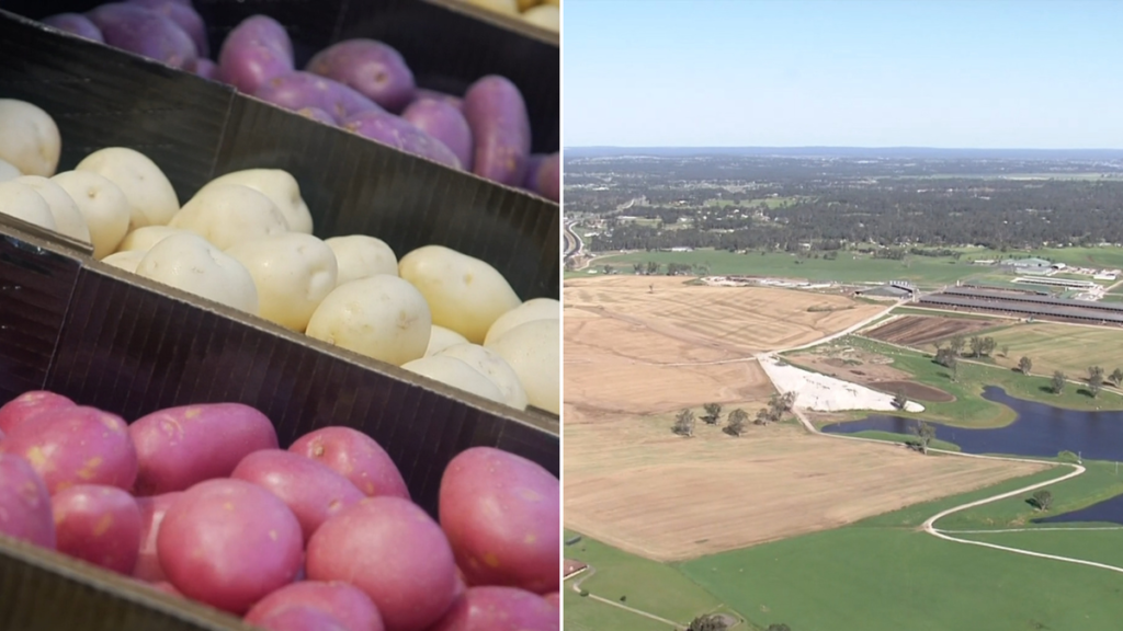 Se proponen nuevas leyes para proteger las tierras agrícolas australianas