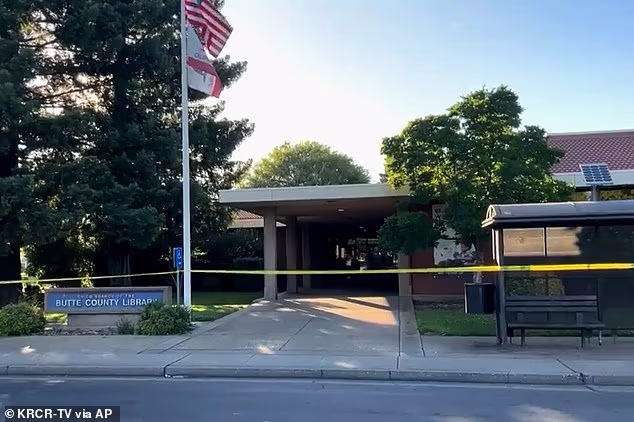 Un adolescent qui voulait commettre un « massacre à la