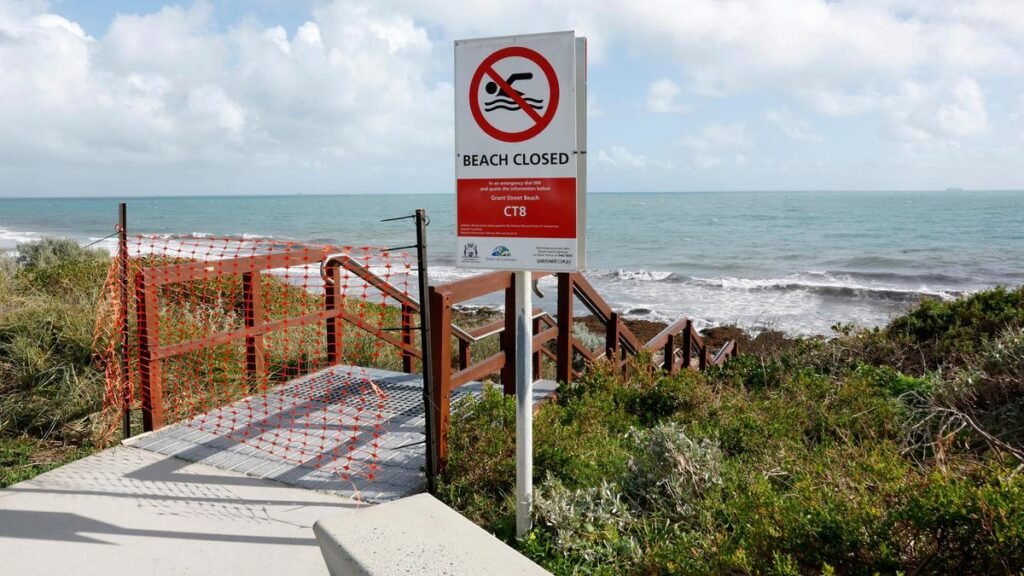 Un cadáver de ballena llegó a la costa en Grant