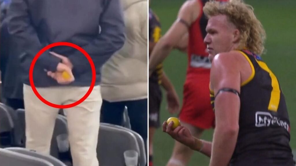 Un fanático de la AFL sancionó por cinco años a