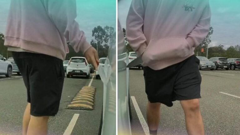 Un hombre con un cuchillo mata a Tesla en Brisbane