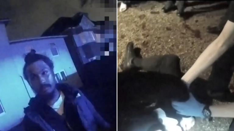 Un nuevo vídeo expone las mentiras de Vikram Digva que