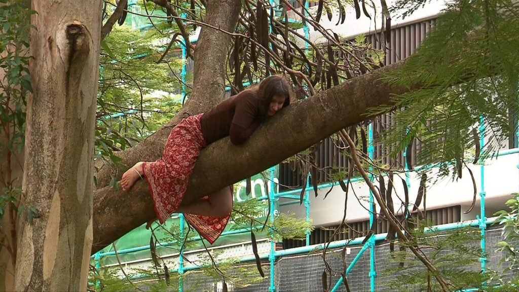 Una mujer pasó la noche en un árbol durante un