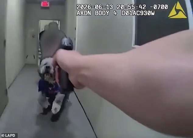 Une horrible caméra corporelle du LAPD montre un officier tirant