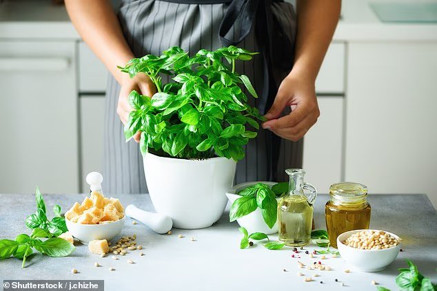 Voici comment déguster du pesto sans ruiner votre alimentation, et