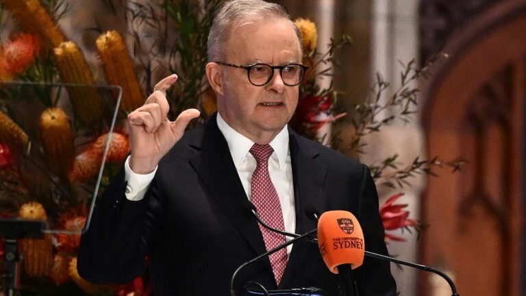 Albanese presentó los primeros estándares de inteligencia artificial del mundo