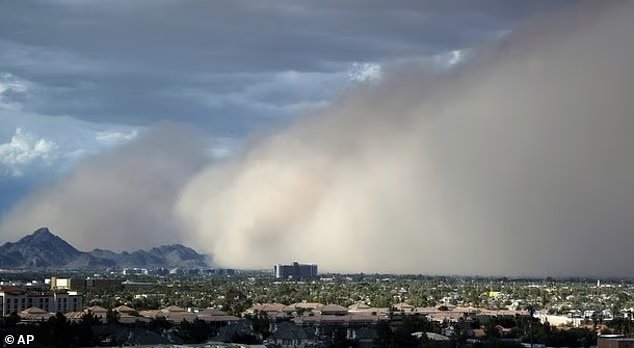 Avertissement alors que des « tempêtes fongiques » mortelles balayent