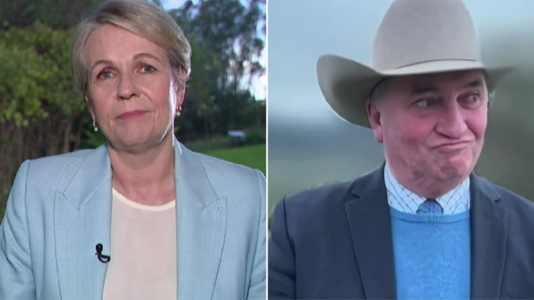 Barnaby Joyce insulta a Albanese por acusaciones de que los