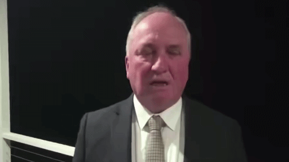Barnaby Joyce responde tras gritarle a su perro durante una