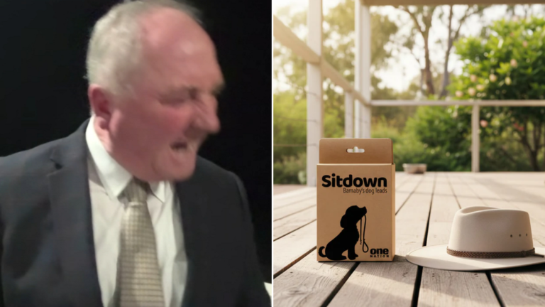 'Barnaby's Dog Leads': One Nation capitaliza el momento viral con