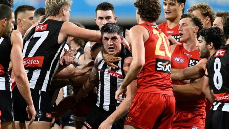 Brayden Maynard fue descartado por la AFL después de tocar