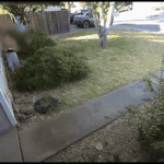 CALIFORNIA: Imágenes de CCTV capturan a un adolescente acusado de