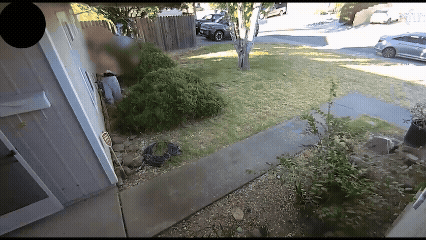 CALIFORNIA: Imágenes de CCTV capturan a un adolescente acusado de