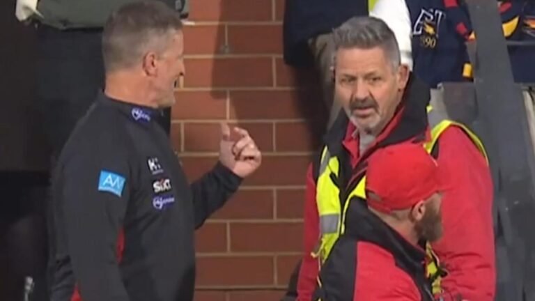 Damian Hardwick llama a los fanáticos 'cacahuetes' después de la