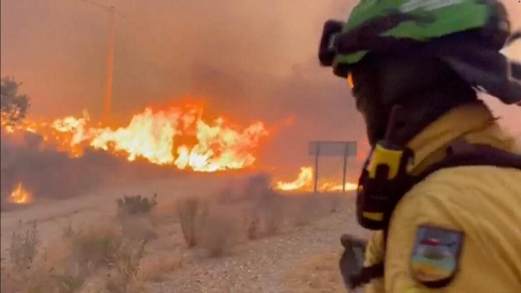 Doce personas, incluidos extranjeros, murieron en el incendio forestal más