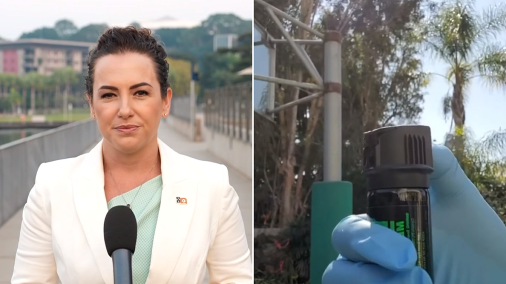 El NT legalizará el spray de pimienta antes de fin