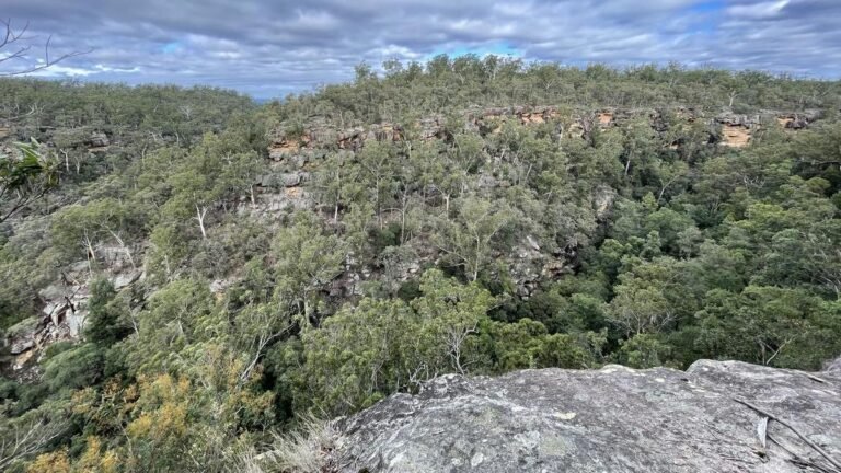 El Parque Nacional Gulguer ofrecerá más espacios verdes al oeste