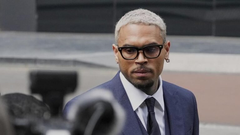 El cantante Chris Brown se declaró culpable de pelear en