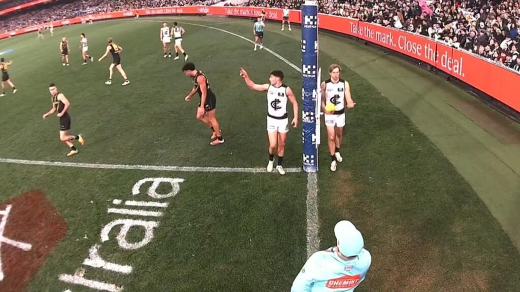 El defensa de Carlton, Nick Haynes, acepta la culpa por