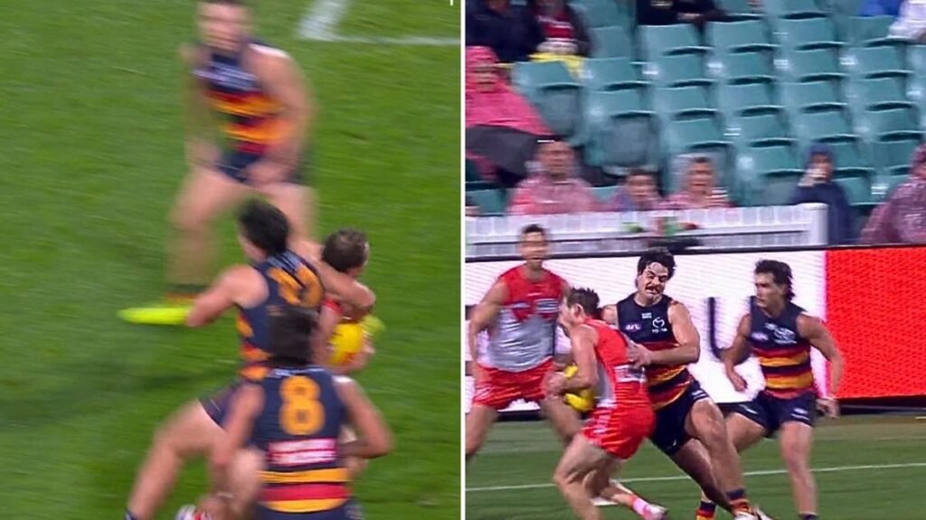 El delantero de los Adelaide Crows, Darcy Fogarty, ha sido