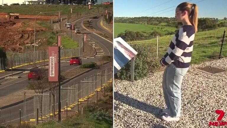 El gobierno de Australia del Sur ha prometido tomar medidas