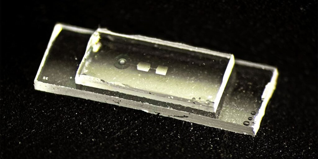 'Esta computadora casi funciona como una guitarra': un chip cuántico