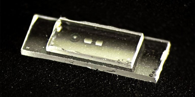 'Esta computadora casi funciona como una guitarra': un chip cuántico